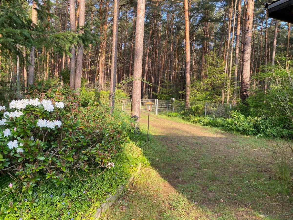 Ferienhaus im Wald Borkwalde Exterior foto