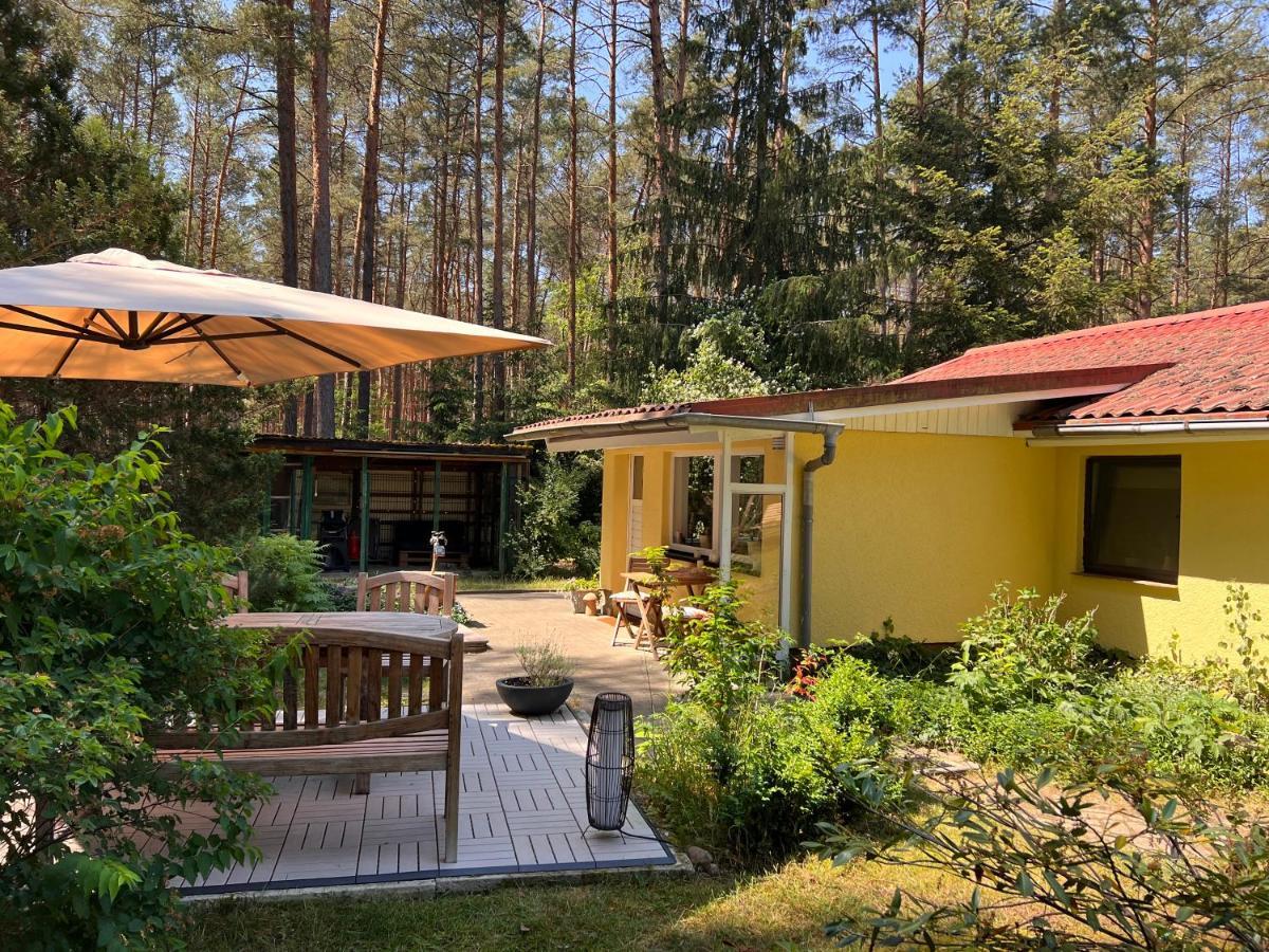Ferienhaus im Wald Borkwalde Exterior foto