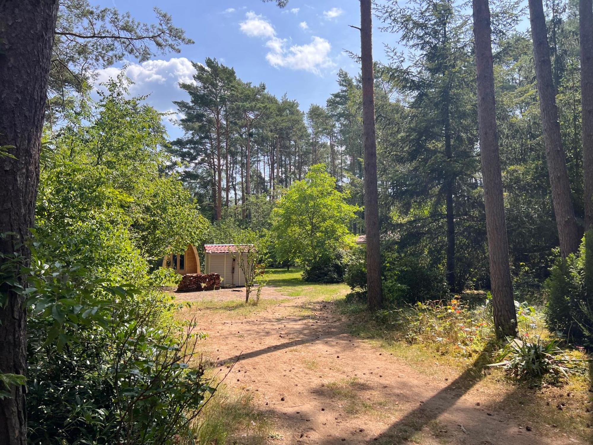 Ferienhaus im Wald Borkwalde Exterior foto
